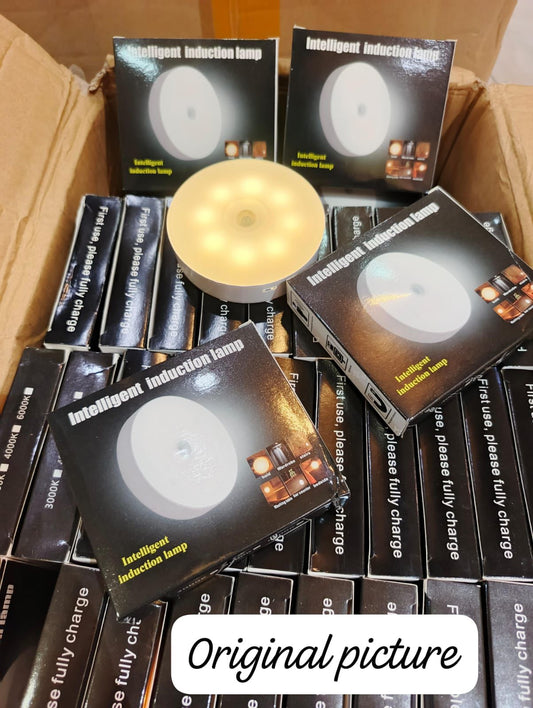 Intelligent night light