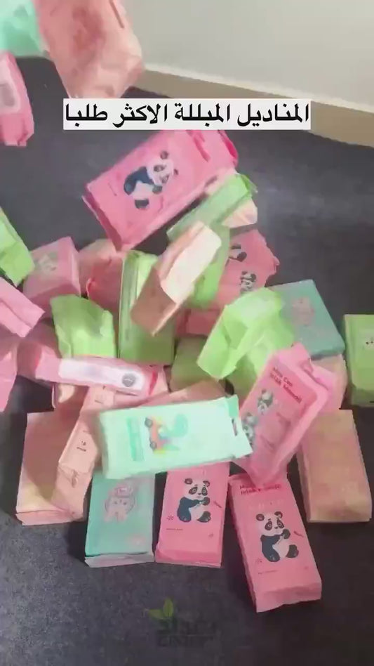 Mini Packed Wipes
